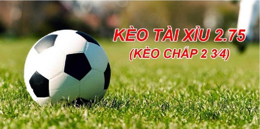 Chu-y-den-kinh-nghiem-tham-gia-bat-keo-phu-hop