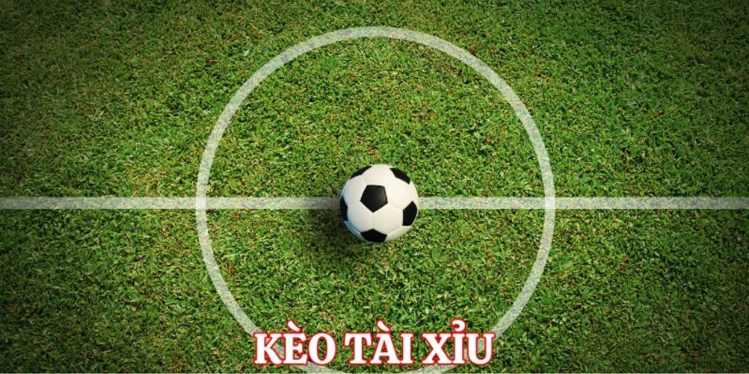 Co-nhieu-yeu-to-anh-huong-den-Tai-Xiu-bong-da-la-gi