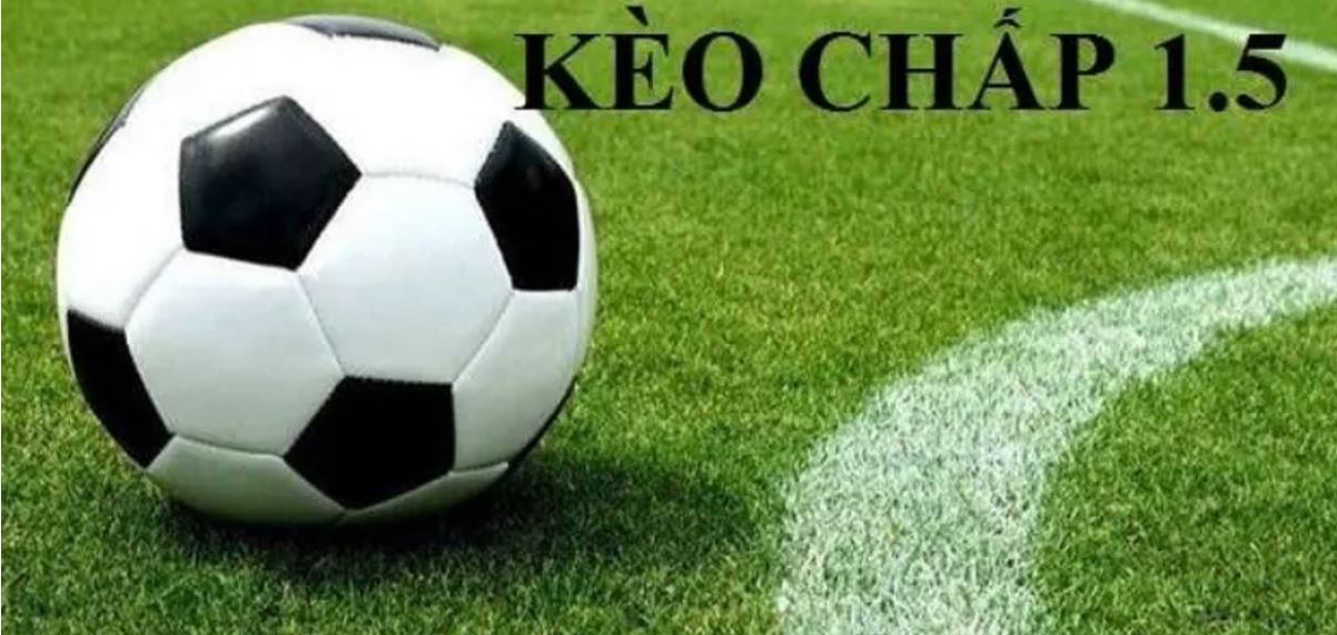 Keo-1.5-la-gi-Keo-ca-cuoc-hap-dan-thu-hut-nhieu-nguoi-tham-gia