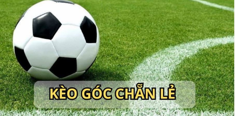 Keo-phat-goc-duoc-yeu-thich-dat-cuoc-nhieu-tinh-kich-tinh-cao