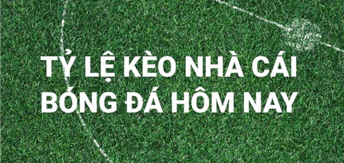 Kinh-nghiem-choi-keo-nha-cai-ban-can-nam-ro