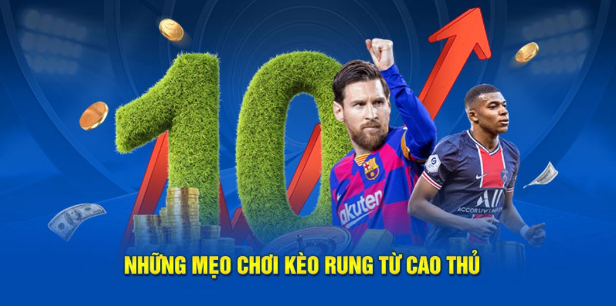 Meo-choi-keo-rung-la-gi-de-hieu-qua-thong-tin-cac-bet-thu-quan-tam